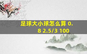 足球大小球怎么算 0.8 2.5/3 100